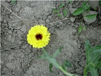 b90292ab-Picture 048.jpg
